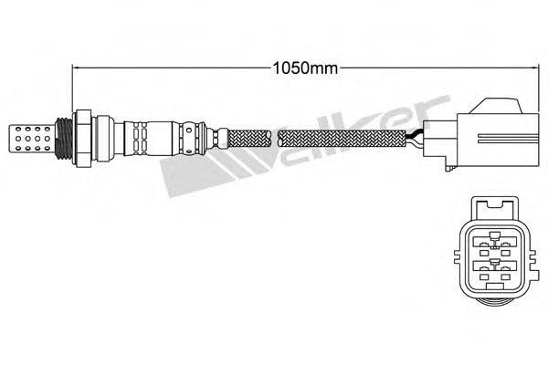 WALKER PRODUCTS 250-24509