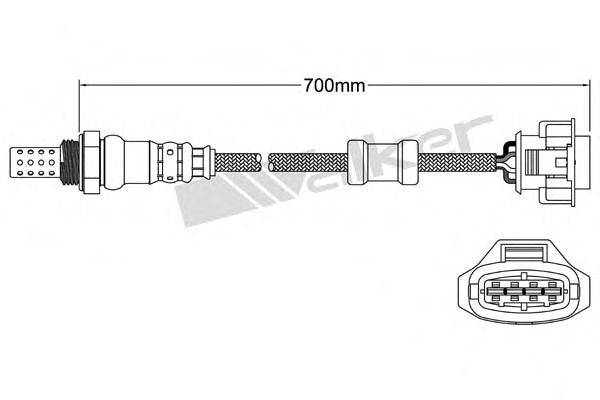 WALKER PRODUCTS 250-24712