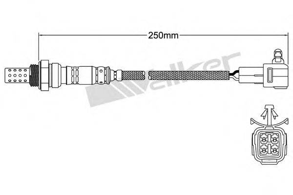 WALKER PRODUCTS 250-24770