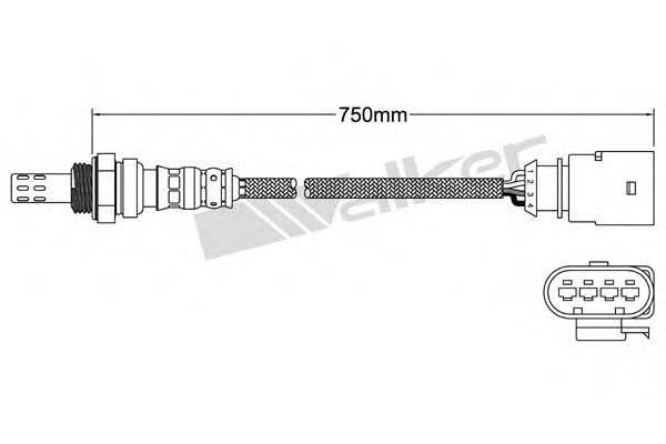 WALKER PRODUCTS 250-241091