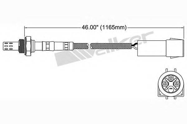 WALKER PRODUCTS 250-23062