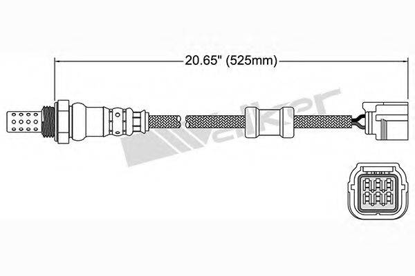 WALKER PRODUCTS 250-24799