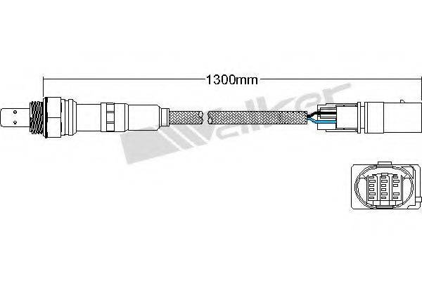 WALKER PRODUCTS 800-95024