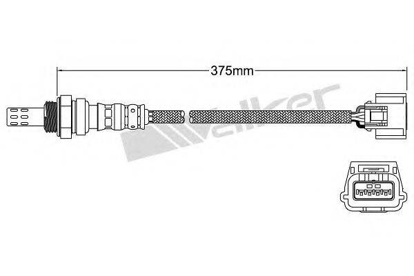 WALKER PRODUCTS 250-241106