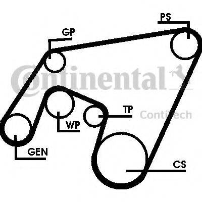 CONTITECH 6PK2264D1