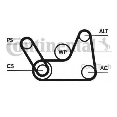 CONTITECH 6PK1019 ELAST T1