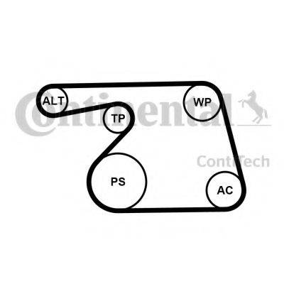 CONTITECH 6PK1318K2
