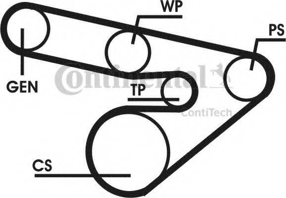 CONTITECH 6PK1800D1