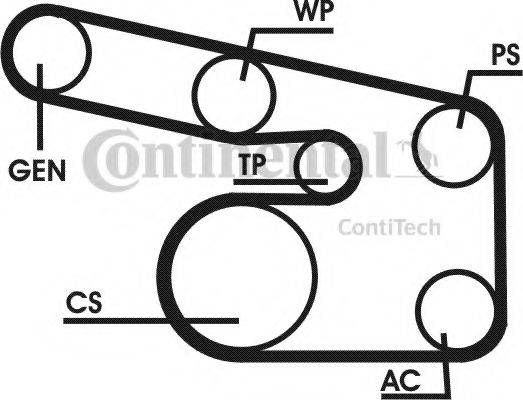 CONTITECH 6PK1900D1