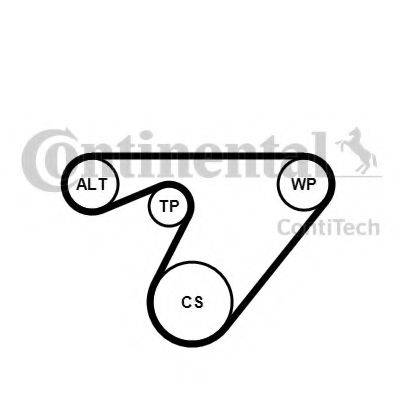 CONTITECH 6PK1180K3