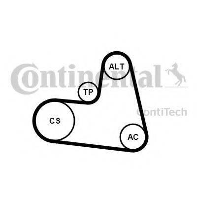 CONTITECH 6PK1217K1