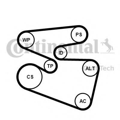 CONTITECH 6PK1555K3