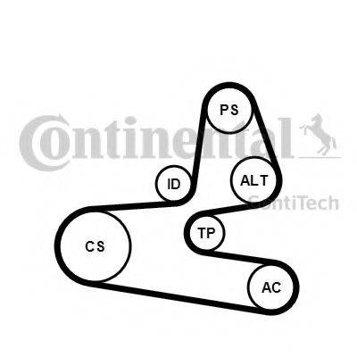 CONTITECH 6PK1564K1