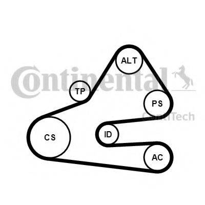 CONTITECH 6PK1613K1