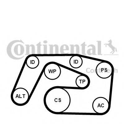 CONTITECH 6PK2271K1