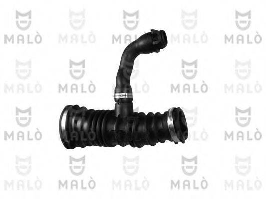 MALO 231891
