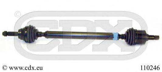 CDX 110246