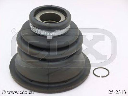 CDX 25-2313