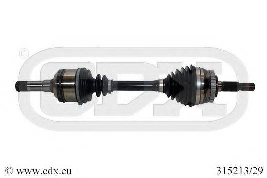 CDX 315213/29