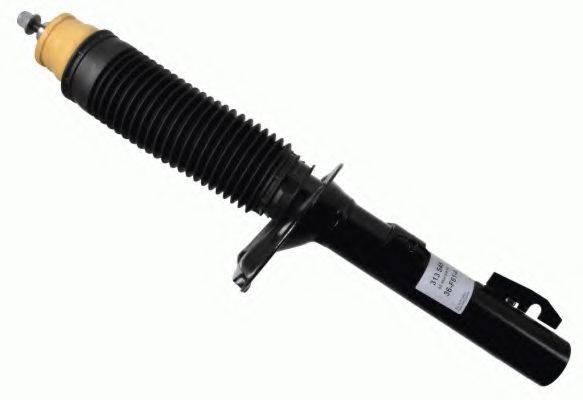 SACHS 313 545