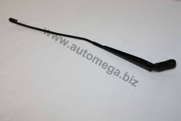 AUTOMEGA 3095504106Q1