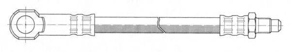 CEF 517036