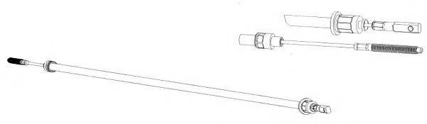 CEF CT02124