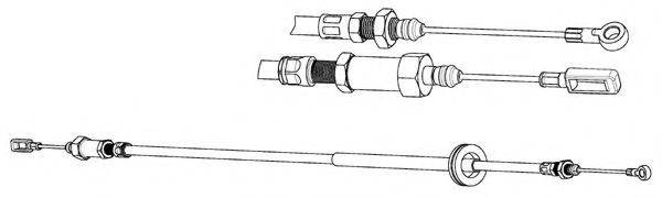 CEF CT02196