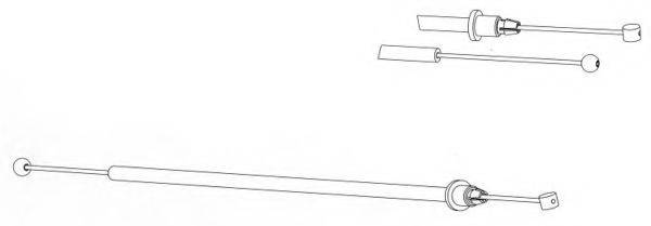 CEF DM02196