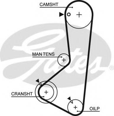 FAI AUTOPARTS 30122 Ремінь ГРМ