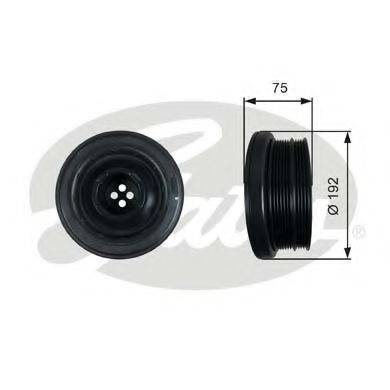 GATES TVD1050