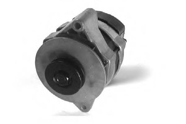 DA SILVA 010304