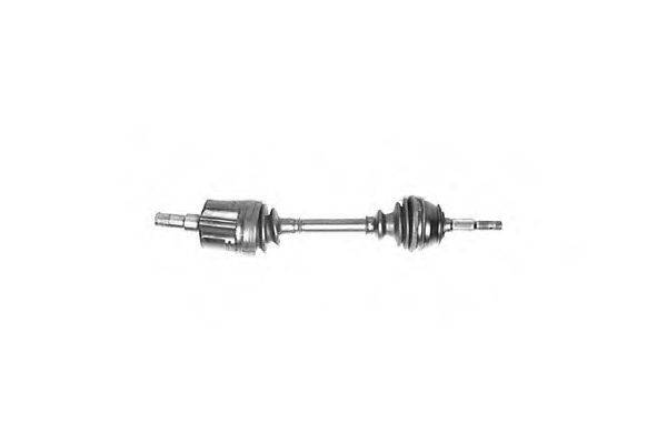 DA SILVA 31221T
