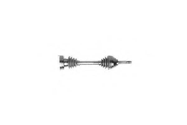 DA SILVA 5164T
