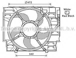 PRASCO BW7536