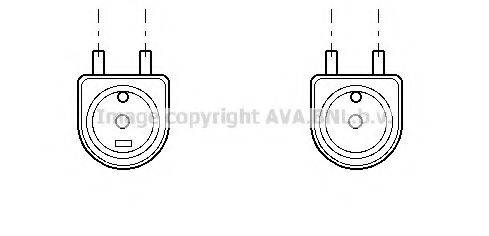 PRASCO CN3084