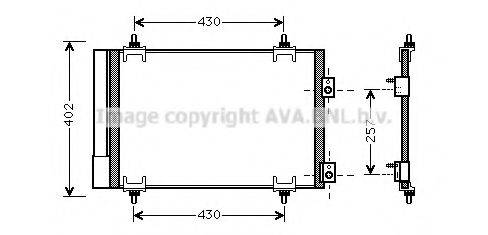 PRASCO CN5283D