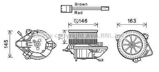 PRASCO CN8294