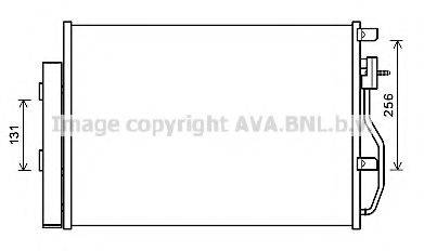 PRASCO CT5048