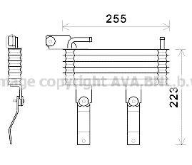 PRASCO HY3369