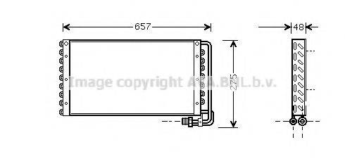PRASCO MN5031