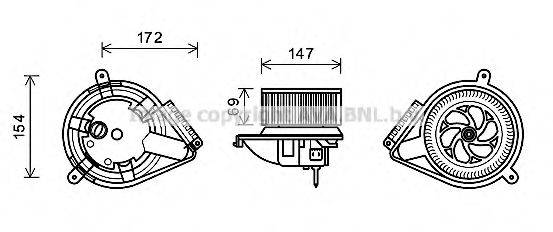 PRASCO MS8616