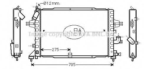 PRASCO OL2364
