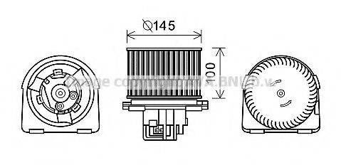 PRASCO OL8619