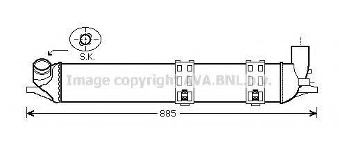 PRASCO RT4463
