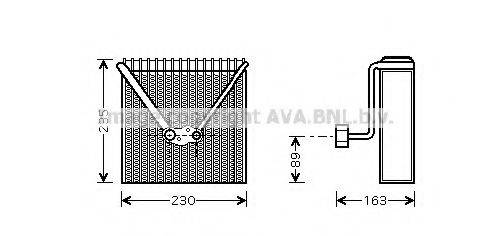 PRASCO AIV022