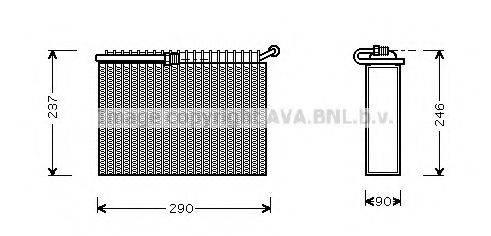 PRASCO ALV022