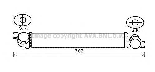 PRASCO BW4425