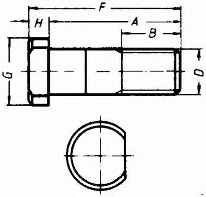 MAN 81.45501.0081 Болт кріплення колеса