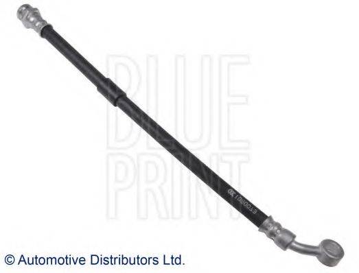 BLUE PRINT ADM553116C